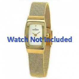 Skagen Bracelet de montre 271SGG
